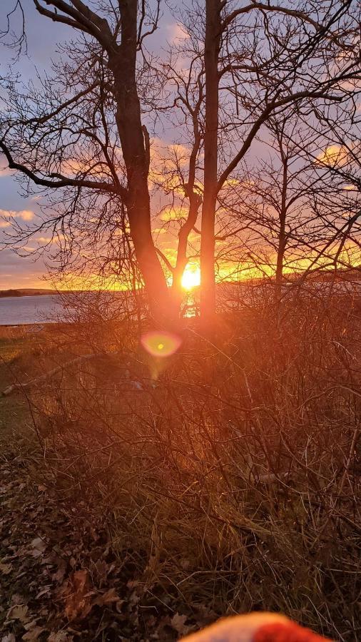 The Lark & Loon Inn Annapolis Royal Buitenkant foto